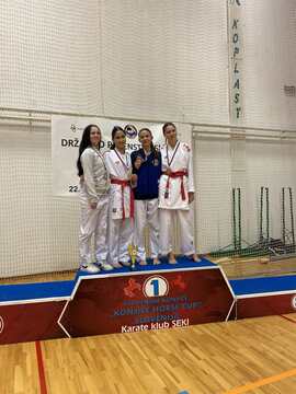 Bronasta v borbah med mladinkami do 53 kg Lejla Lišinović